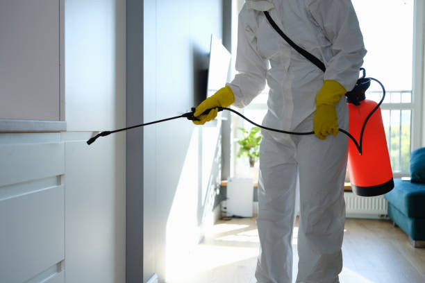 Best Toxic Mold Removal  in Davidson, NC