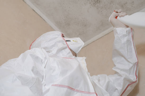 Best Residential Mold Removal  in Davidson, NC
