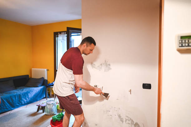 Best Mold Removal Process  in Davidson, NC